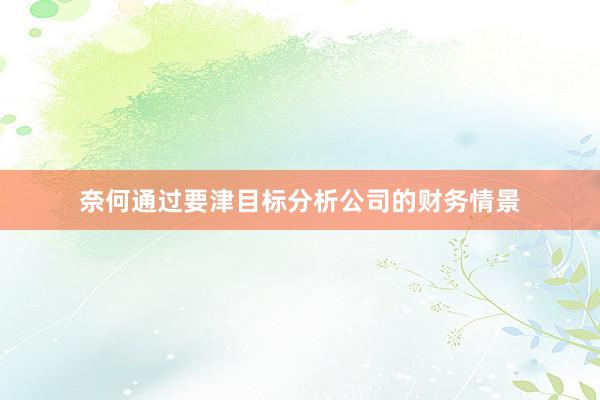 奈何通过要津目标分析公司的财务情景