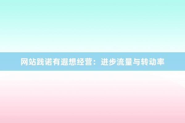 网站践诺有遐想经营：进步流量与转动率