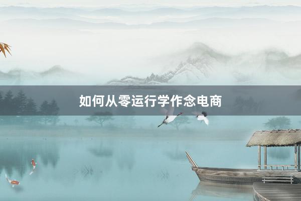 如何从零运行学作念电商
