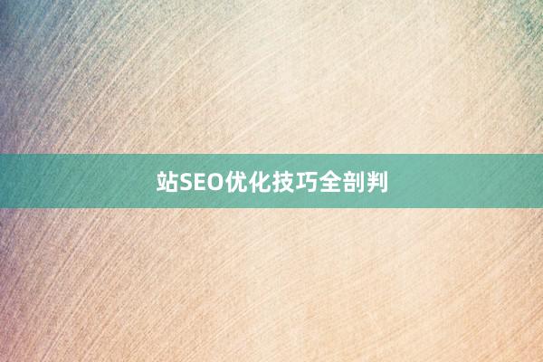 站SEO优化技巧全剖判